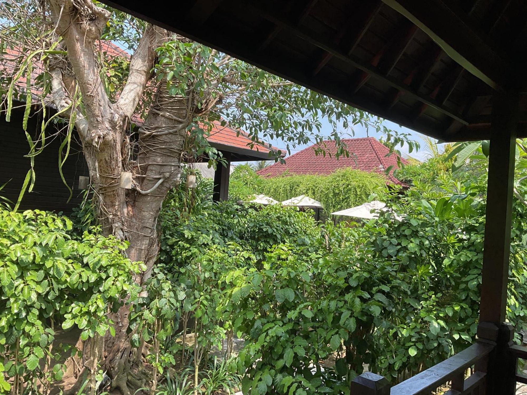 Bunutbali Villas88 Нуса Лембонган Екстериор снимка